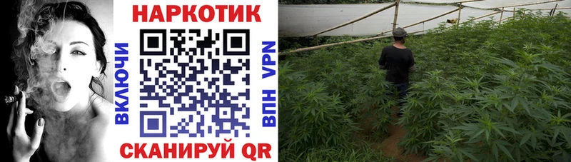 Где купить наркоту Кимовск КОКАИН  Амфетамин  NBOMe  Гашиш  Героин  МЕФ  А ПВП 